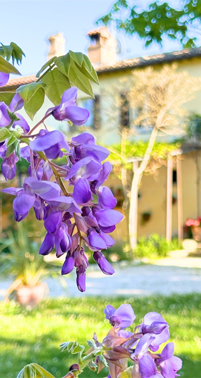 Menu di Primavera alla Locanda La Rocca